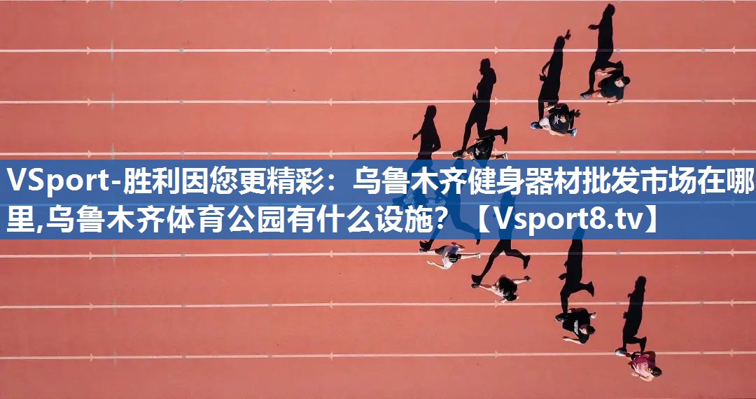VSport-胜利因您更精彩：乌鲁木齐健身器材批发市场在哪里,乌鲁木齐体育公园有什么设施？