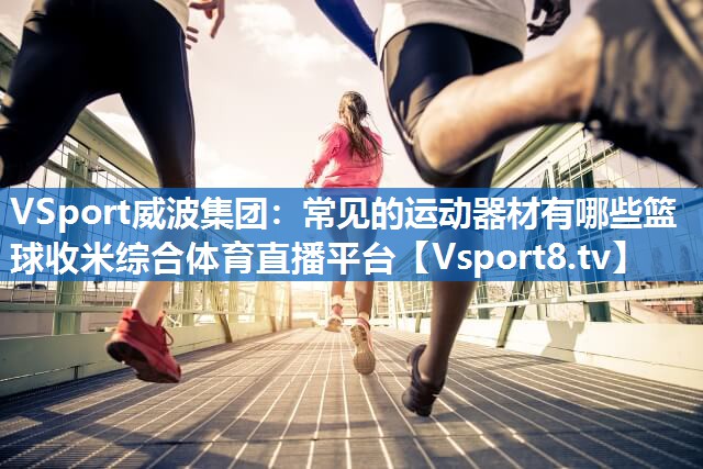 <strong>VSport威波集团：常见的运动器材有哪些篮球收米综合体育直播平台</strong>
