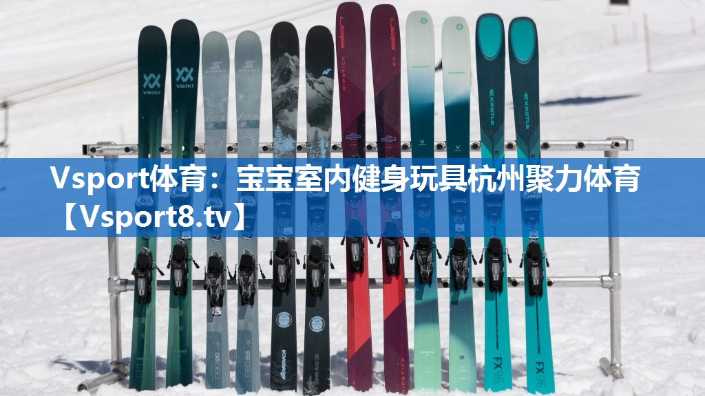 Vsport体育：宝宝室内健身玩具杭州聚力体育