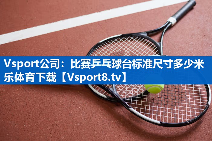 Vsport公司：比赛乒乓球台标准尺寸多少米乐体育下载