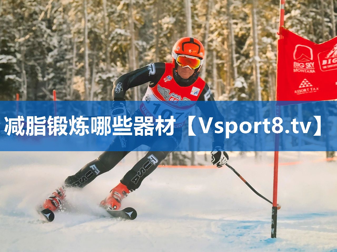 减脂锻炼哪些器材